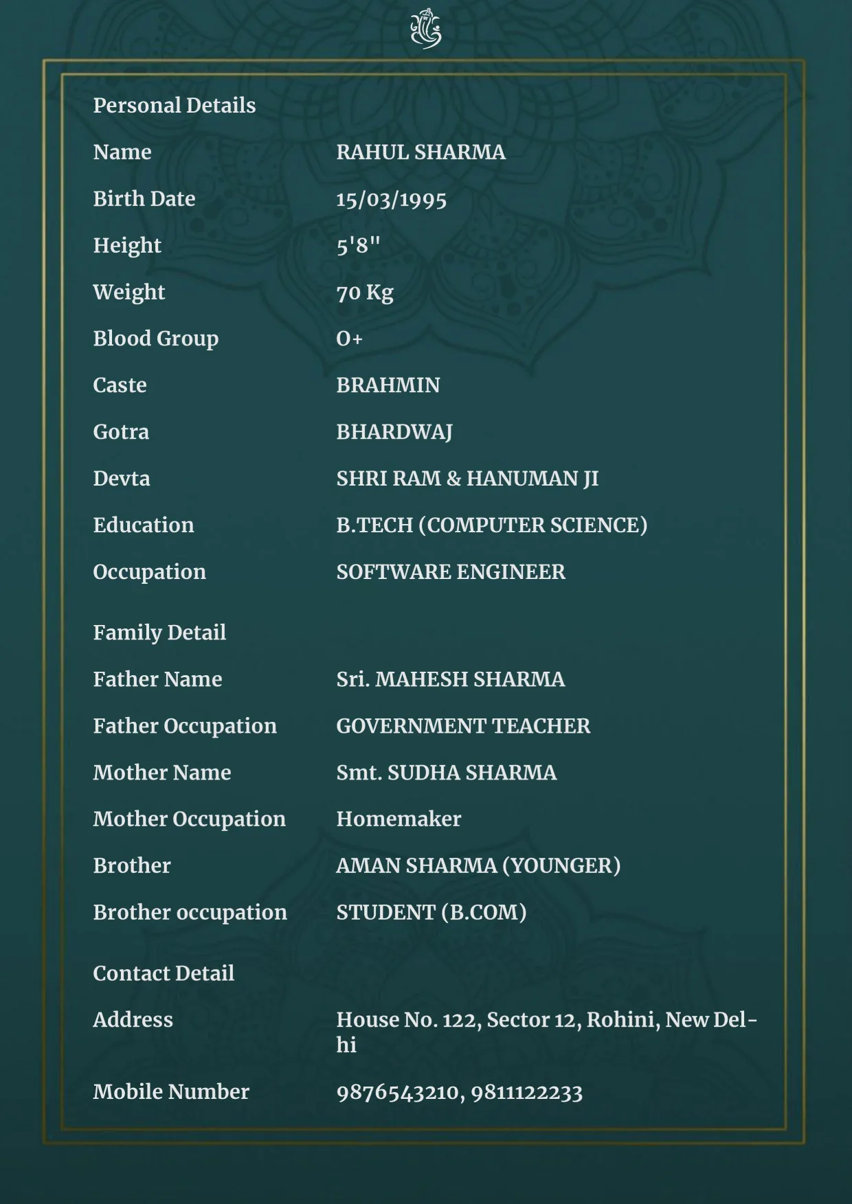 Teal Breeze Biodata Template